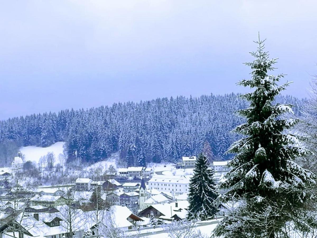 Top Appartment Mit Weitblick Und Late Check-Out Inklusive Aktivcard Sankt Englmar Kültér fotó